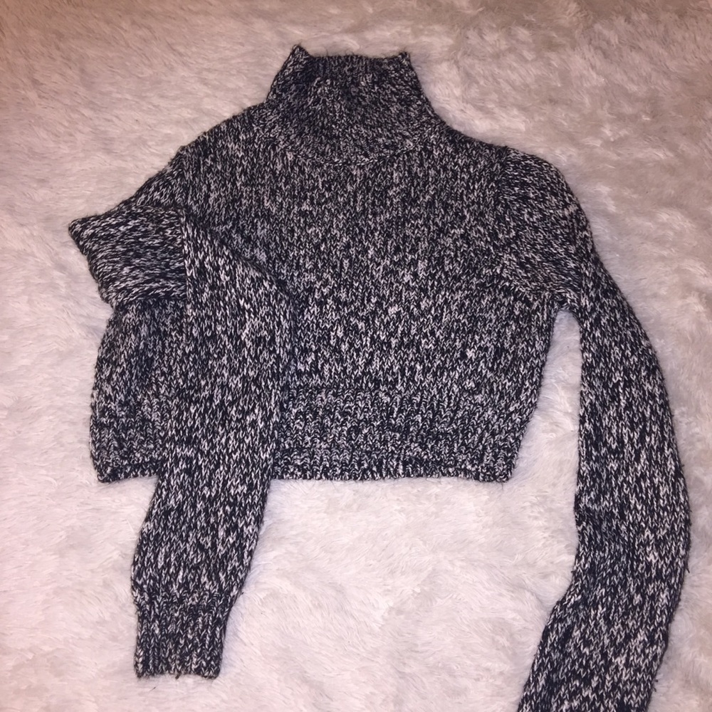 Knit Crop Top Turtle Neck Sweater